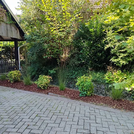 Wolfshoehle Schwarzwald-apartment *